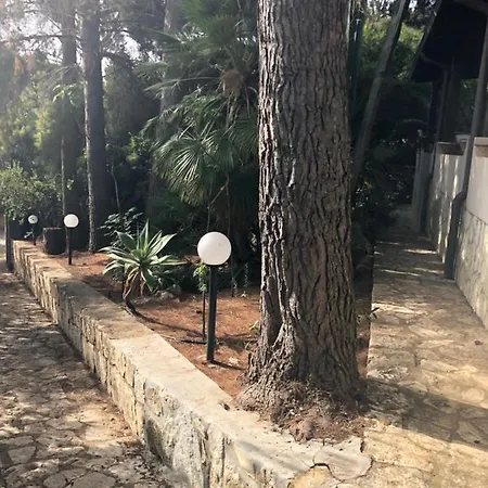 Hébergement de vacances Punta Pispisa Scopello (Sicily)
